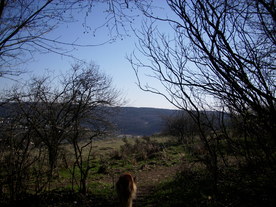 2010-04-13/DSCI6218.JPG