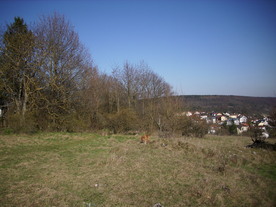 2010-04-13/DSCI6229.JPG