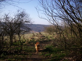 2010-04-13/DSCI6232.JPG