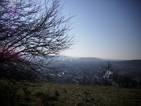 2010-04-13/DSCI6233.JPG