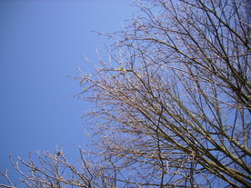 2010-04-13/DSCI6236.JPG