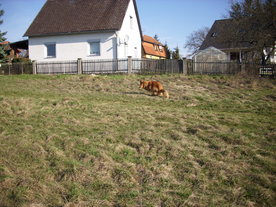 2010-04-13/DSCI6242.JPG