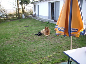 2010-04-13/DSCI6244.JPG