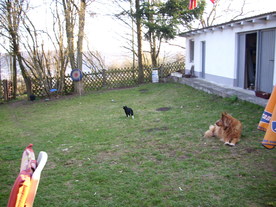 2010-04-13/DSCI6245.JPG