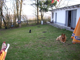 2010-04-13/DSCI6246.JPG