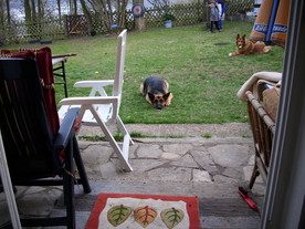 2010-04-13/DSCI6247.JPG