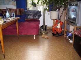 2010-04-13/DSCI6248.JPG