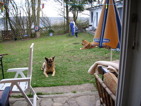2010-04-13/DSCI6249.JPG