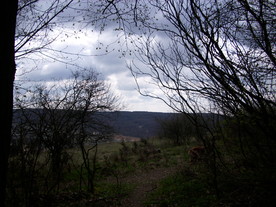 2010-04-13/DSCI6251.JPG