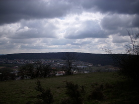 2010-04-13/DSCI6256.JPG