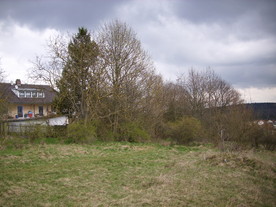 2010-04-13/DSCI6258.JPG
