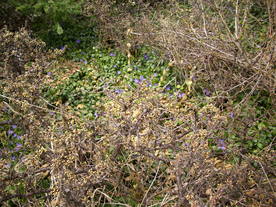 2010-04-13/DSCI6261.JPG