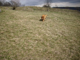 2010-04-13/DSCI6264.JPG