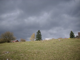2010-04-13/DSCI6266.JPG