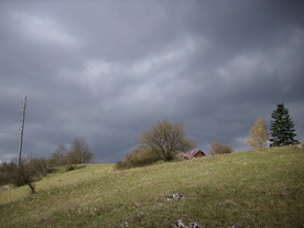 2010-04-13/DSCI6267.JPG