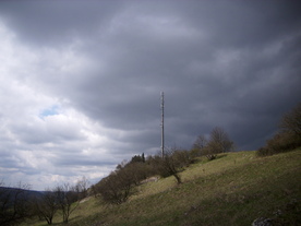 2010-04-13/DSCI6268.JPG