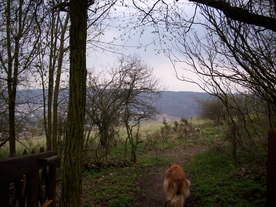 2010-04-13/DSCI6275.JPG