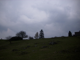 2010-04-13/DSCI6286.JPG