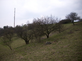 2010-04-13/DSCI6287.JPG