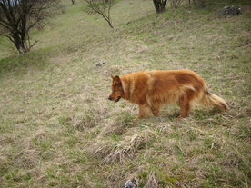 2010-04-13/DSCI6288.JPG