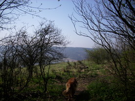 2010-04-19/DSCI6290.JPG