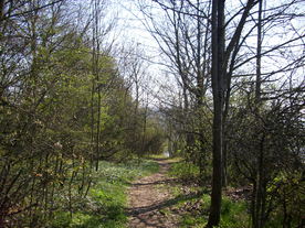 2010-04-19/DSCI6291.JPG