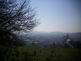2010-04-19/DSCI6293.JPG