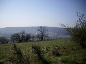 2010-04-19/DSCI6294.JPG