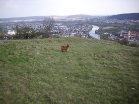 2010-04-19/DSCI6301.JPG