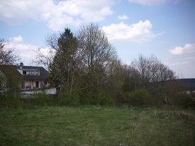 2010-04-19/DSCI6304.JPG