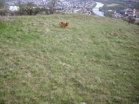 2010-04-19/DSCI6305.JPG