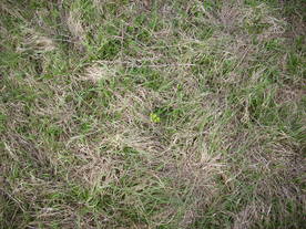 2010-04-19/DSCI6308.JPG