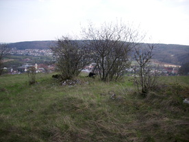 2010-04-19/DSCI6309.JPG