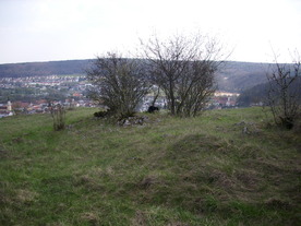 2010-04-19/DSCI6310.JPG