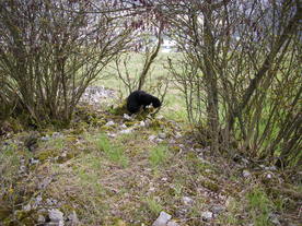 2010-04-19/DSCI6314.JPG