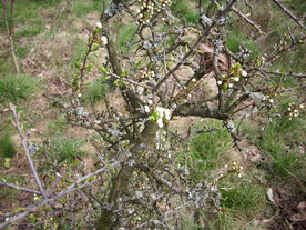 2010-04-19/DSCI6321.JPG