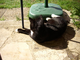 2010-06-04/DSCI6322.JPG