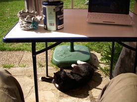 2010-06-04/DSCI6323.JPG