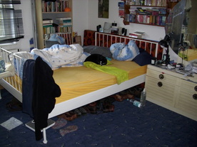 2010-06-04/DSCI6324.JPG