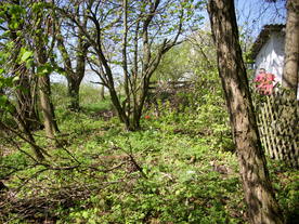 2010-06-04/DSCI6325.JPG