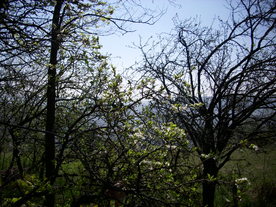 2010-06-04/DSCI6326.JPG