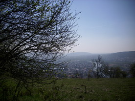 2010-06-04/DSCI6327.JPG