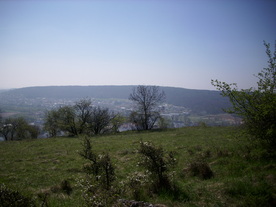 2010-06-04/DSCI6328.JPG
