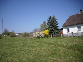 2010-06-04/DSCI6331.JPG