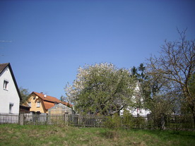 2010-06-04/DSCI6332.JPG