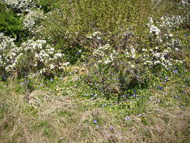 2010-06-04/DSCI6336.JPG