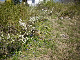 2010-06-04/DSCI6337.JPG