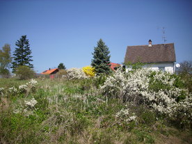 2010-06-04/DSCI6340.JPG