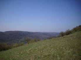 2010-06-04/DSCI6342.JPG