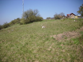 2010-06-04/DSCI6344.JPG